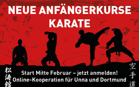 Drei Vereine begeistern gemeinsam online für Karate