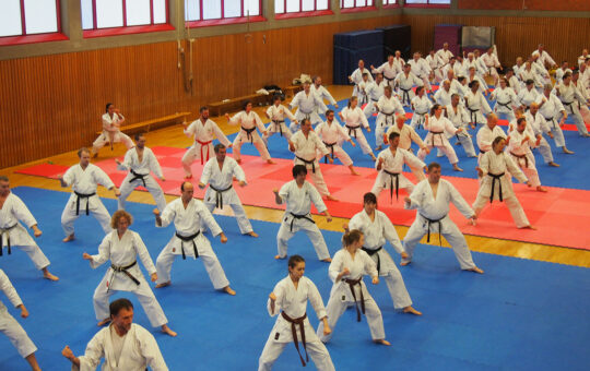 45 Jahre Karate in der Eintracht