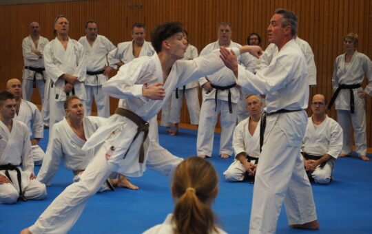 Karatetrainer*innen Meeting 2023